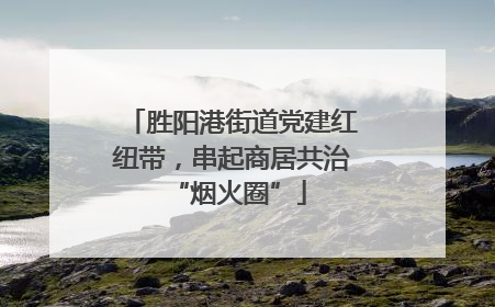 胜阳港街道党建红纽带，串起商居共治 “烟火圈”