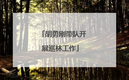 胡勇刚带队开展巡林工作