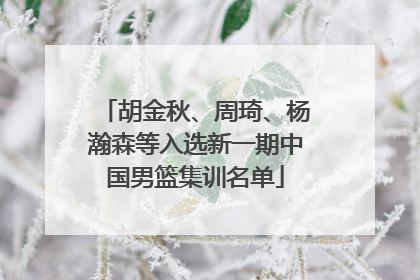 胡金秋、周琦、杨瀚森等入选新一期中国男篮集训名单