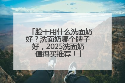 脸干用什么洗面奶好？洗面奶哪个牌子好，2025洗面奶值得买推荐！
