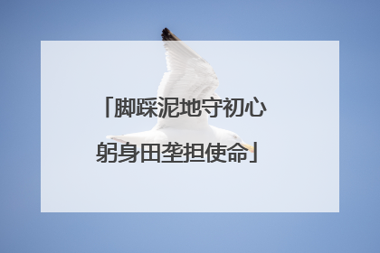 脚踩泥地守初心 躬身田垄担使命