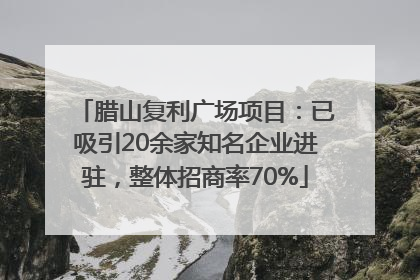 腊山复利广场项目：已吸引20余家知名企业进驻，整体招商率70%