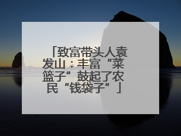 致富带头人袁发山：丰富“菜篮子”鼓起了农民“钱袋子”