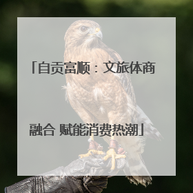 自贡富顺：文旅体商融合 赋能消费热潮