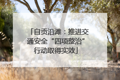 自贡沿滩：推进交通安全“四项整治”行动取得实效