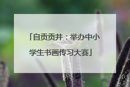 自贡贡井：举办中小学生书画传习大赛