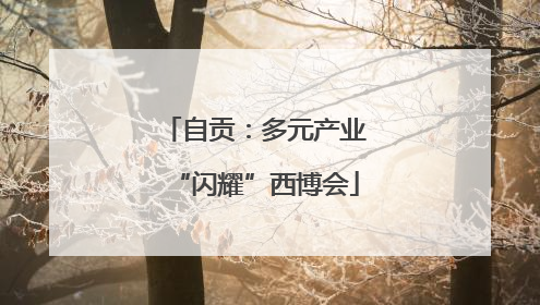 自贡：多元产业“闪耀”西博会