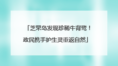 芝罘岛发现珍稀牛背鹭！政民携手护生灵重返自然