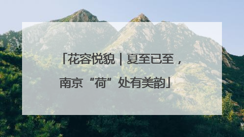 花容悦貌｜夏至已至，南京“荷”处有美韵