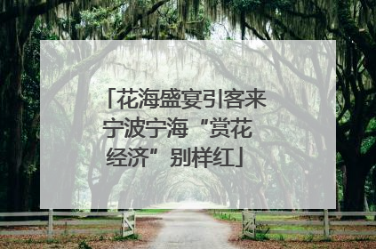 花海盛宴引客来 宁波宁海“赏花经济”别样红
