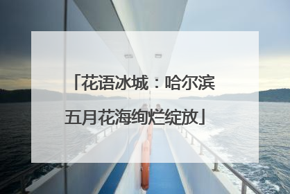 花语冰城：哈尔滨五月花海绚烂绽放