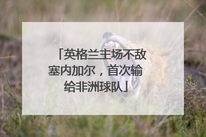 英格兰主场不敌塞内加尔，首次输给非洲球队