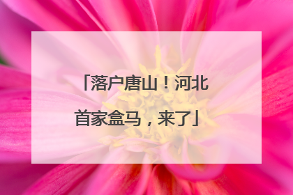 落户唐山！河北首家盒马，来了