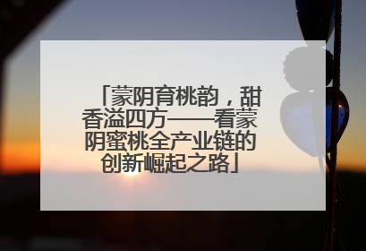 蒙阴育桃韵，甜香溢四方——看蒙阴蜜桃全产业链的创新崛起之路