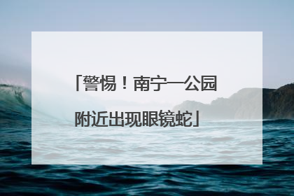 警惕！南宁一公园附近出现眼镜蛇