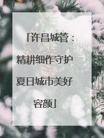 许昌城管：精耕细作守护夏日城市美好容颜