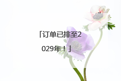 订单已排至2029年！