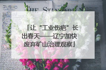 让“工业伤疤”长出春天——辽宁加快废弃矿山治理观察