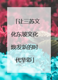让三苏文化东坡文化焕发新的时代华彩