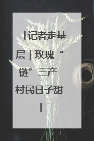 记者走基层｜玫瑰“链”三产 村民日子甜