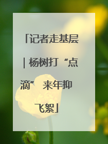 记者走基层｜杨树打“点滴” 来年抑飞絮