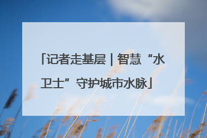 记者走基层｜智慧“水卫士”守护城市水脉