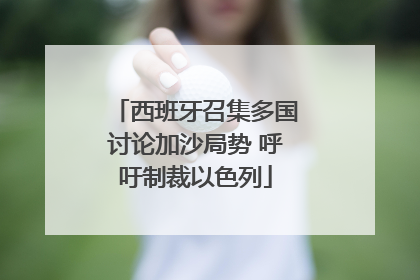 西班牙召集多国讨论加沙局势 呼吁制裁以色列
