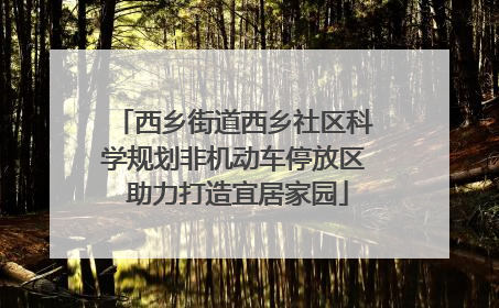 西乡街道西乡社区科学规划非机动车停放区 助力打造宜居家园