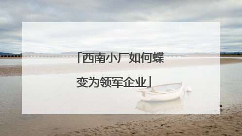 西南小厂如何蝶变为领军企业