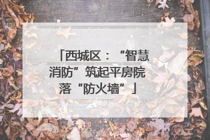 西城区：“智慧消防”筑起平房院落“防火墙”