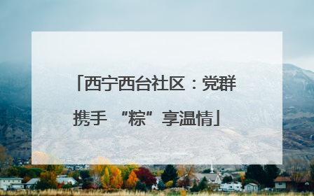 西宁西台社区：党群携手 “粽”享温情