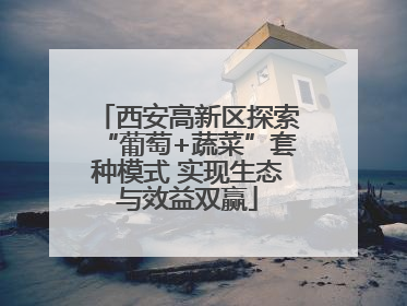 西安高新区探索“葡萄+蔬菜”套种模式 实现生态与效益双赢