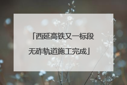 西延高铁又一标段无砟轨道施工完成