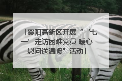 襄阳高新区开展“‘七一’走访困难党员 暖心慰问送温暖”活动