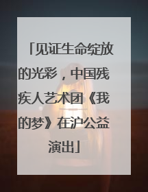 见证生命绽放的光彩，中国残疾人艺术团《我的梦》在沪公益演出