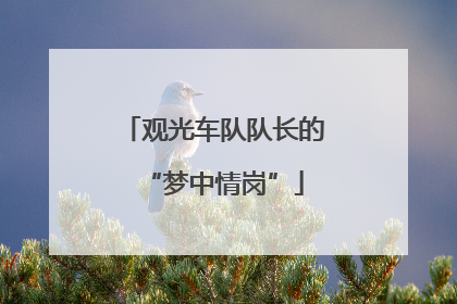 观光车队队长的“梦中情岗”
