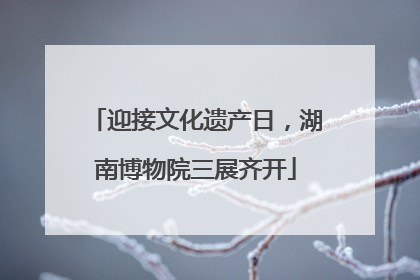 迎接文化遗产日，湖南博物院三展齐开