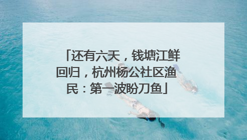 还有六天，钱塘江鲜回归，杭州杨公社区渔民：第一波盼刀鱼
