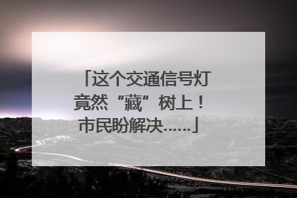 这个交通信号灯竟然“藏”树上！市民盼解决……