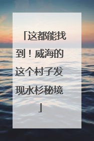 这都能找到！威海的这个村子发现水杉秘境