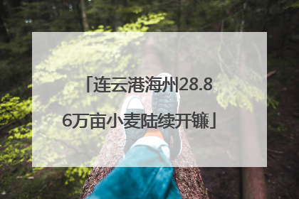 连云港海州28.86万亩小麦陆续开镰