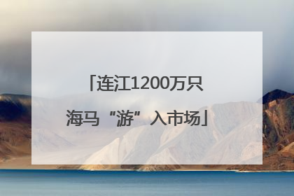 连江1200万只海马“游”入市场