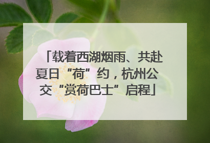 载着西湖烟雨、共赴夏日“荷”约，杭州公交“赏荷巴士”启程