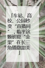 车站、高校、公园秒变“直播间”，临平这颗初夏“金果”在长三角播撒甜美
