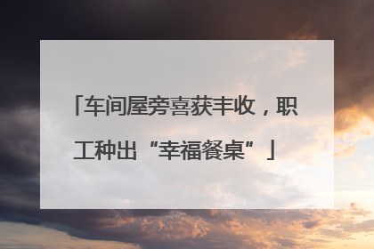 车间屋旁喜获丰收，职工种出“幸福餐桌”
