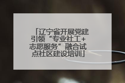 辽宁省开展党建引领“专业社工+志愿服务”融合试点社区建设培训