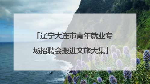 辽宁大连市青年就业专场招聘会搬进文旅大集