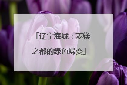辽宁海城：菱镁之都的绿色蝶变