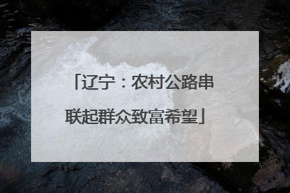辽宁：农村公路串联起群众致富希望