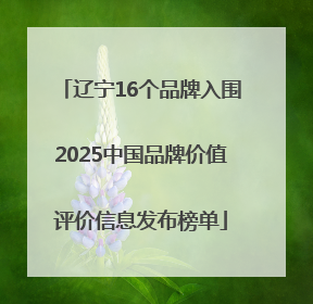 辽宁16个品牌入围2025中国品牌价值评价信息发布榜单